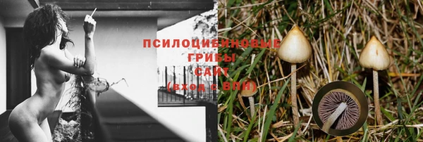 а пвп мука Алзамай
