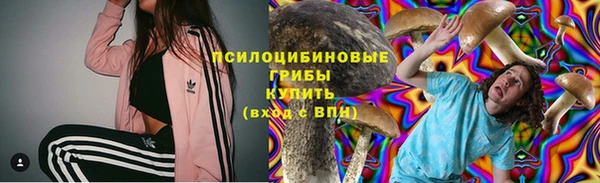 а пвп мука Алзамай