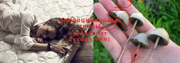 сатива Алексин