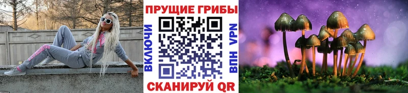 Псилоцибиновые грибы прущие грибы МЕГА онион Дюртюли