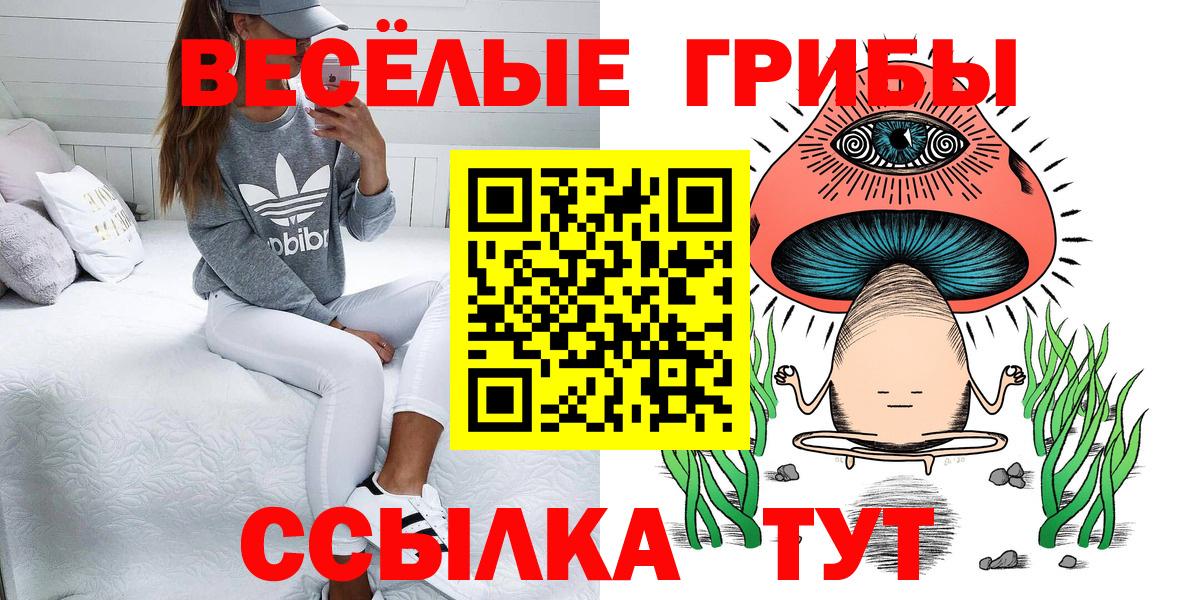 Галлюциногенные грибы Psilocybe  Вход с VPN  Дюртюли  Галлюциногенные грибы Cubensis 